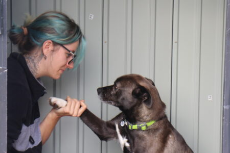 Protectora Simba - Zeta