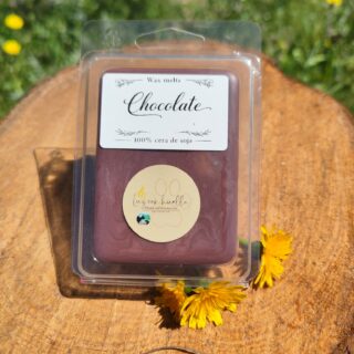 Wax melts «Chocolate»